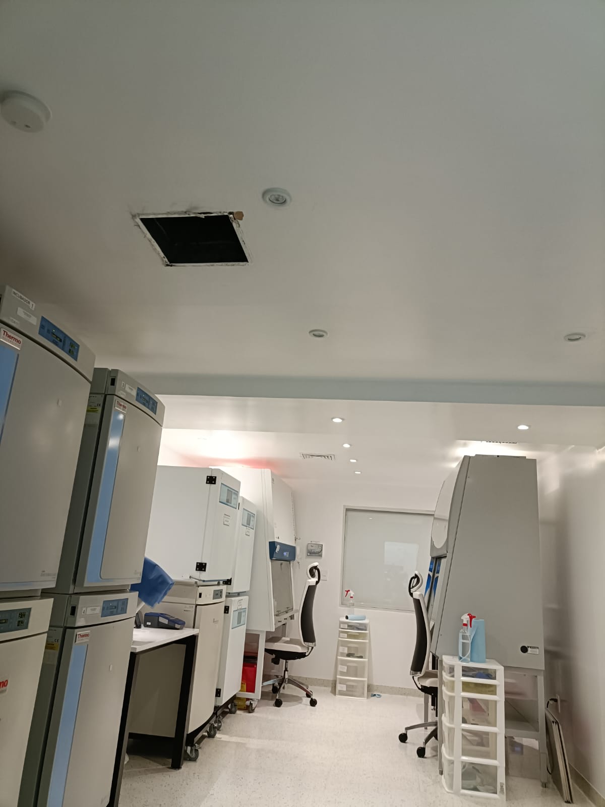 Cámara de refrigeración industrial con equipos de enfriamiento.